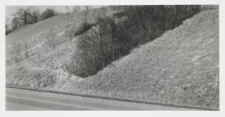 Blue Star Highway and Dune