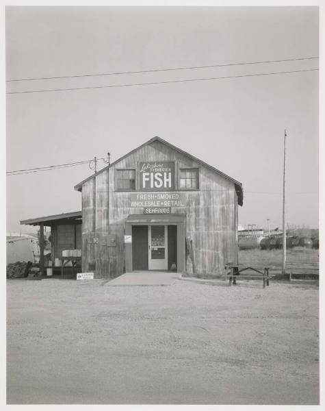 Lakeshore Fisheries, Ludington