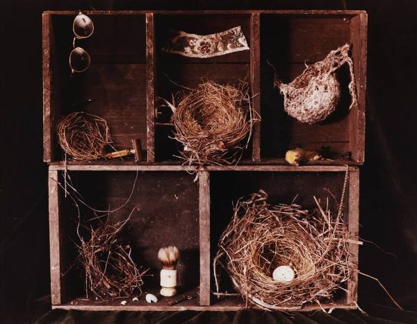 Boxed Nests