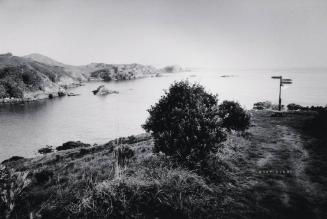 Stay Alert (Matauri Bay, New Zealand)