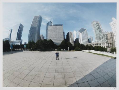 Chicago's Bean 6