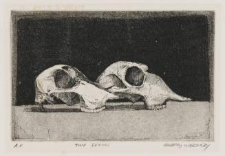 Two Skulls