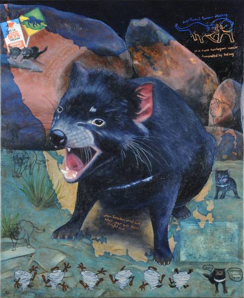 Fact: When Tasmanian Devils are Upset their Ears Blush Bright Red