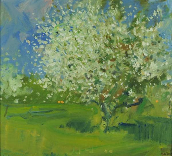 Untitled (Fruit Tree in Bloom)