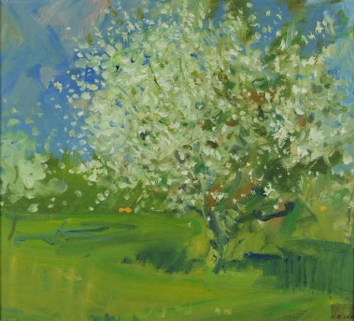 Untitled (Fruit Tree in Bloom)