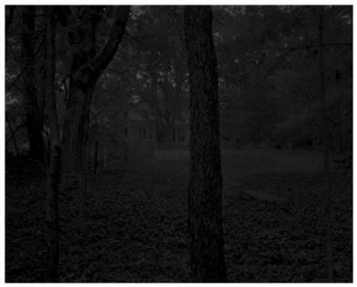 Untitled #2 (Trees and Farmhouse) from the series Night Coming Tenderly, Black