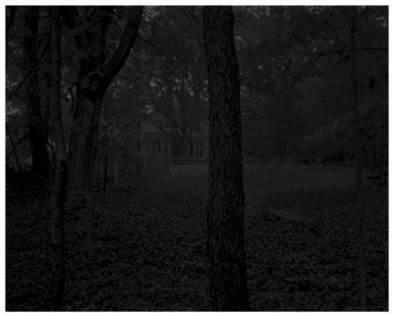 Untitled #2 (Trees and Farmhouse) from the series Night Coming Tenderly, Black