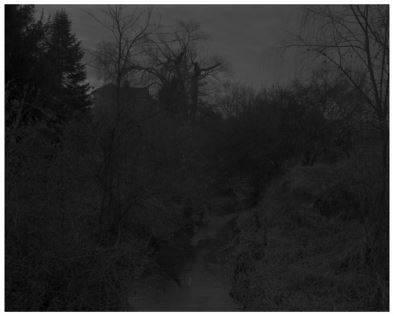 Untitled #18 (Creek and Trees) from the series Night Coming Tenderly, Black