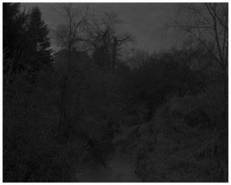 Untitled #18 (Creek and Trees) from the series Night Coming Tenderly, Black