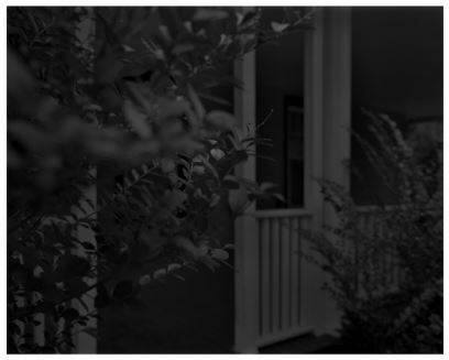 Untitled #4 (Leaves and Porch) from the series Night Coming Tenderly, Black