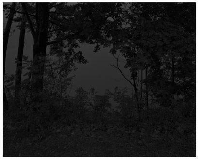 Untitled #24 (At Lake Erie) from the series Night Coming Tenderly, Black