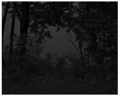 Untitled #24 (At Lake Erie) from the series Night Coming Tenderly, Black