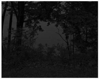 Untitled #24 (At Lake Erie) from the series Night Coming Tenderly, Black