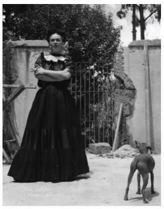 Frida with her Hairless Dog