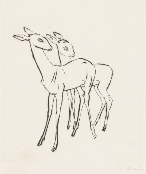 Two Deer