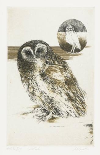 Two Owls