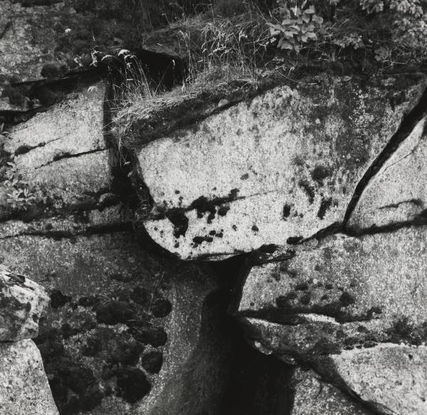 Rocks with Grass