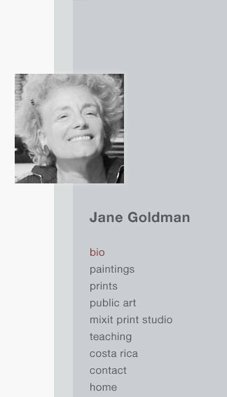 Jane E. Goldman