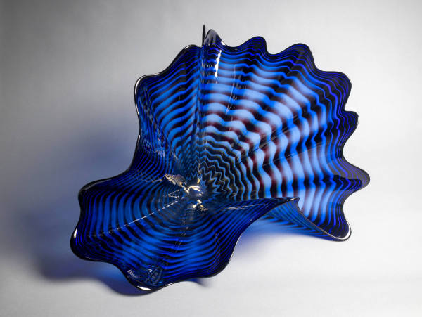 Prussian Blue Persian with Black Lip Wrap