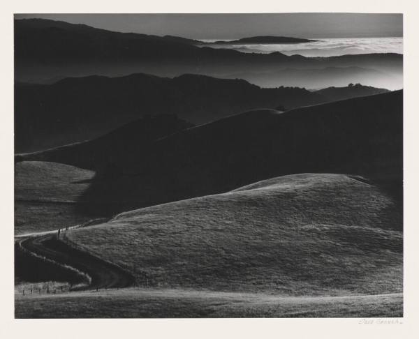 Fog, Santa Lucia Range, California