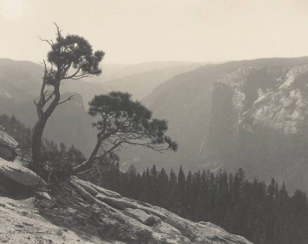 Yosemite Valley from North Rim