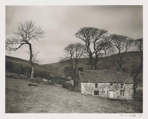 Deserted Farm, Baldwin