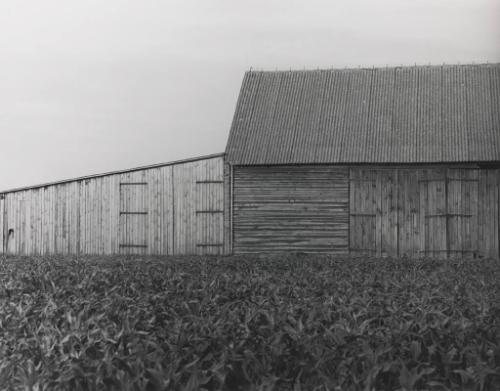 Uncle Marian's Barn