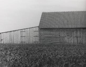 Uncle Marian's Barn