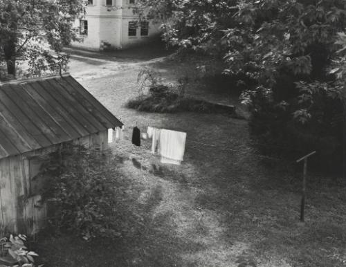 Backyard, Newton, N.C.