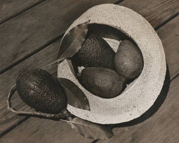 Avocados