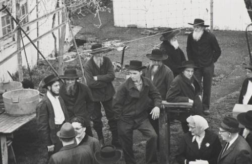 Mennonite Men at Auction