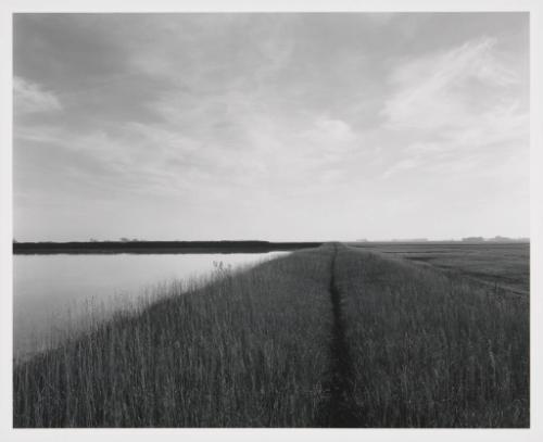 Landscape near Moorhead, Minnesota