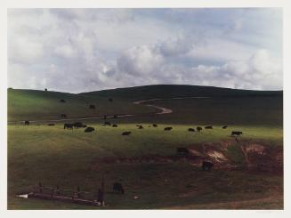 Palo Corona Ranch, Carmel, 1962