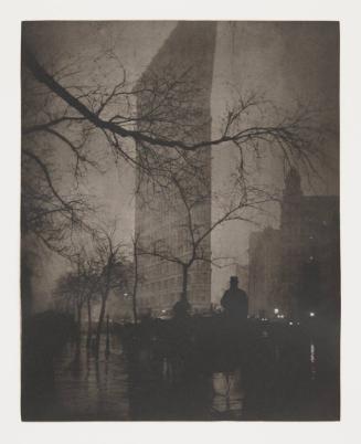 The Flatiron, New York, 1905