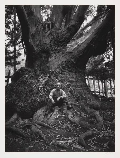 Edward Weston, Carmel Highlands, CA