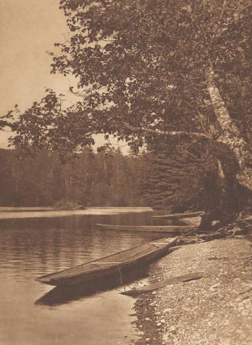 On Quinault River