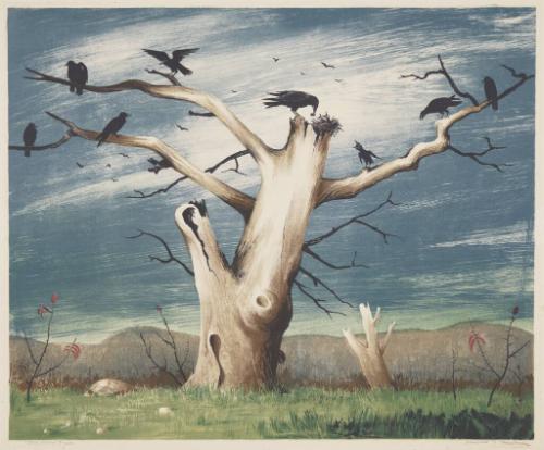 The Crow Tree