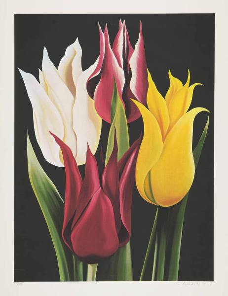 Four Tulips