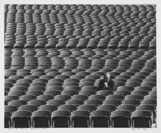 Among Park Benches