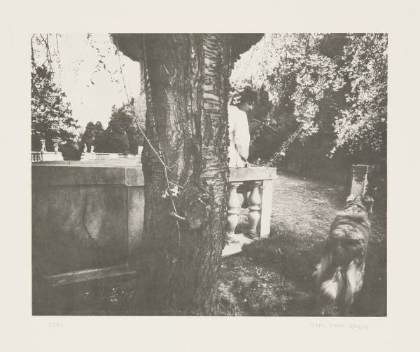 Michigan Bicentennial Portfolio Of Prints In Collotype:#10