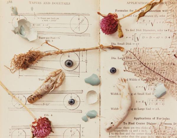 Forms of Knowledge