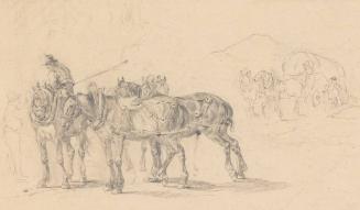 Untitled (Study of Horses)