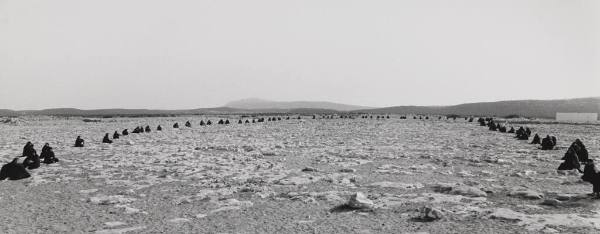 Shirin Neshat