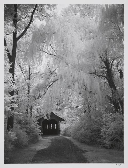 Covered Bridge, Kellogg Forest, Augusta, MI, August 14, 2010