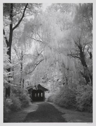 Covered Bridge, Kellogg Forest, Augusta, MI, August 14, 2010