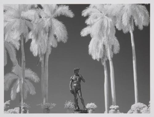 David, Ringling Museum of Art, Sarasota, FL, November 6, 2011