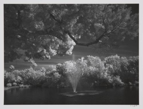 Fountain, Joan Durante Park, Longboat Key, FL, January 9, 2011