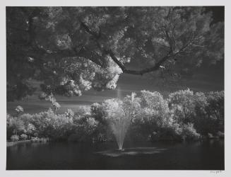 Fountain, Joan Durante Park, Longboat Key, FL, January 9, 2011