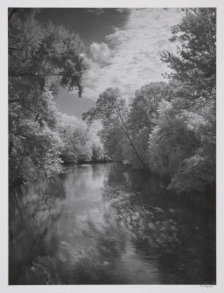 Thornapple River 2, Barry County, MI