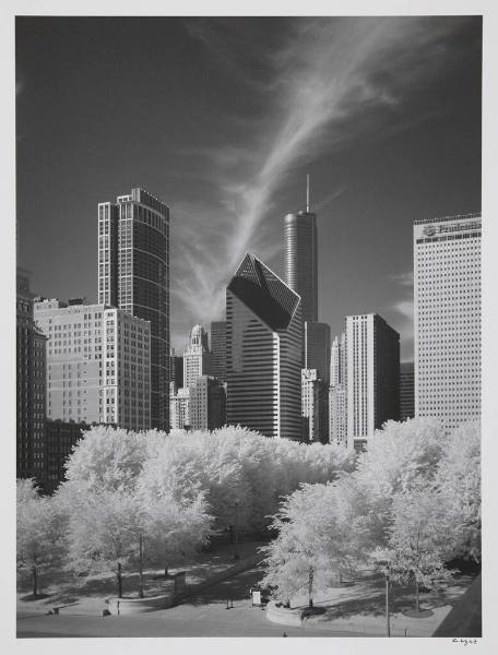 View from the Art Institute Bridge, Chicago